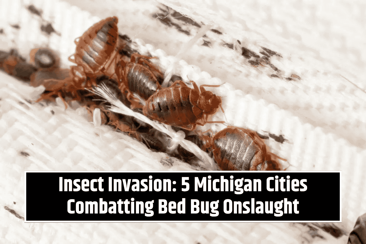 Insect Invasion: 5 Michigan Cities Combatting Bed Bug Onslaught