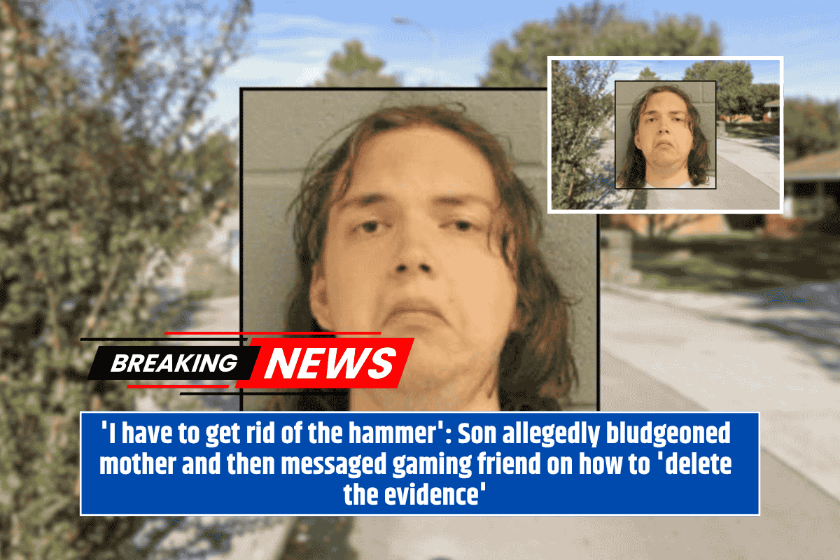 'I have to get rid of the hammer': Son allegedly bludgeoned mother and then messaged gaming friend on how to 'delete the evidence'