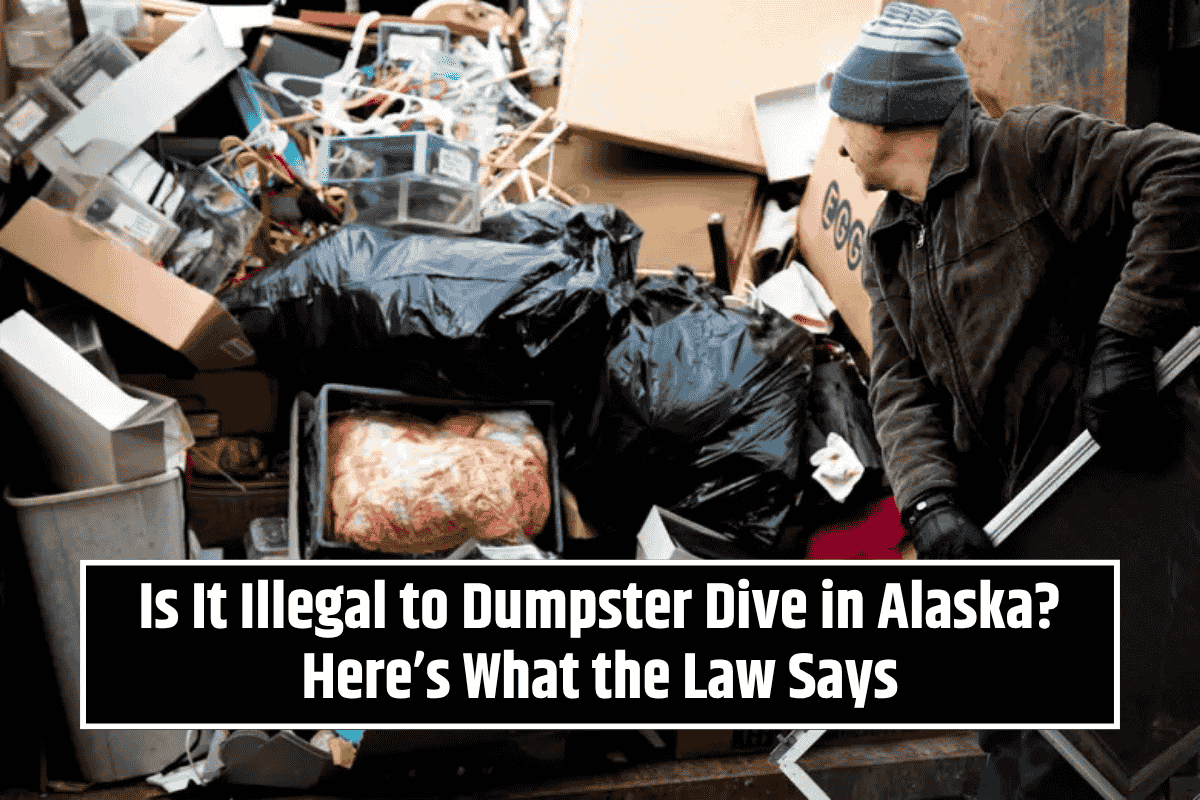 Is It Illegal to Dumpster Dive in Alaska? Here’s What the Law Says