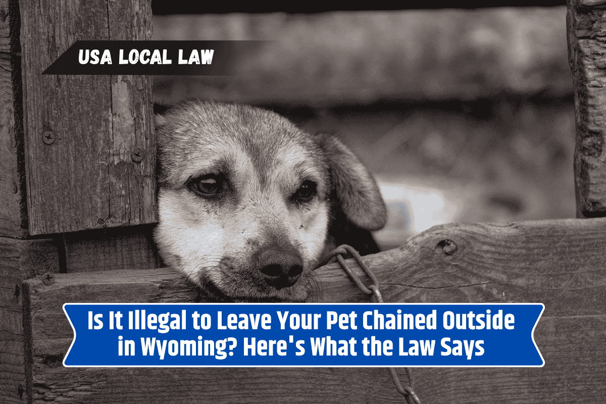 Is It Illegal to Leave Your Pet Chained Outside in Wyoming? Here's What the Law Says