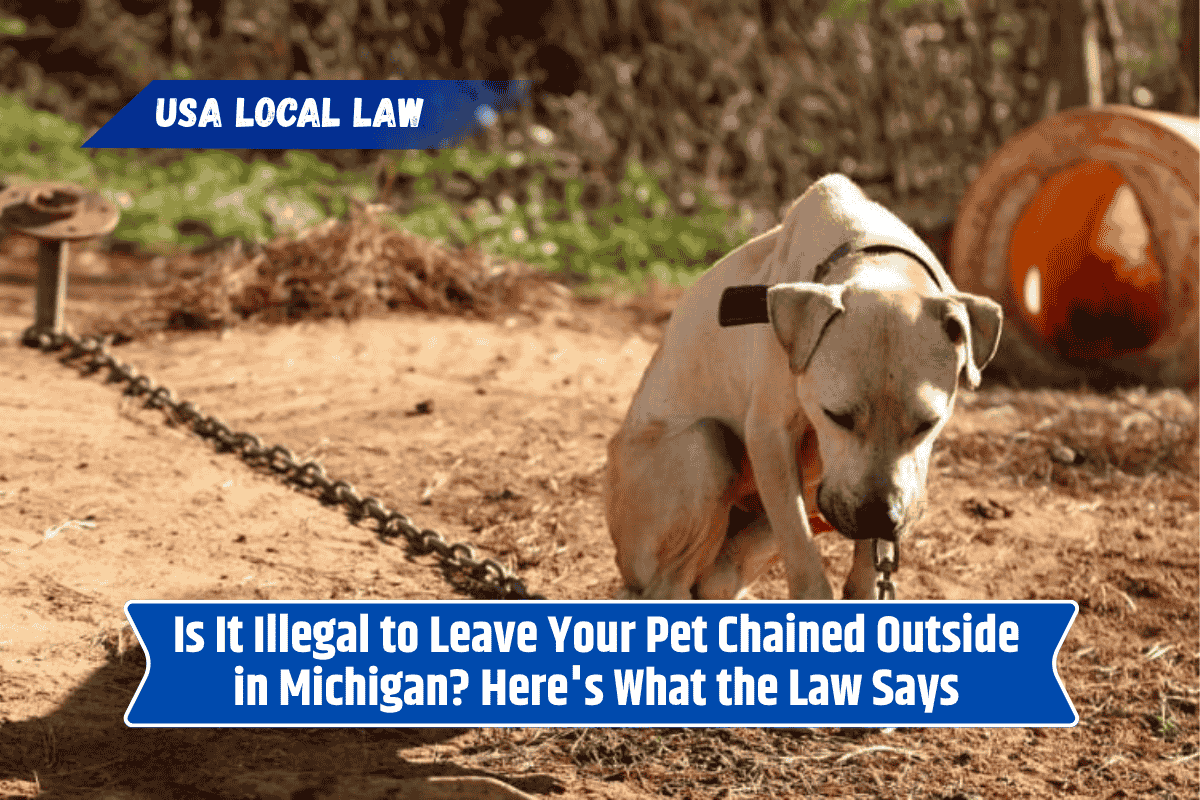 Is It Illegal to Leave Your Pet Chained Outside in Michigan? Here's What the Law Says
