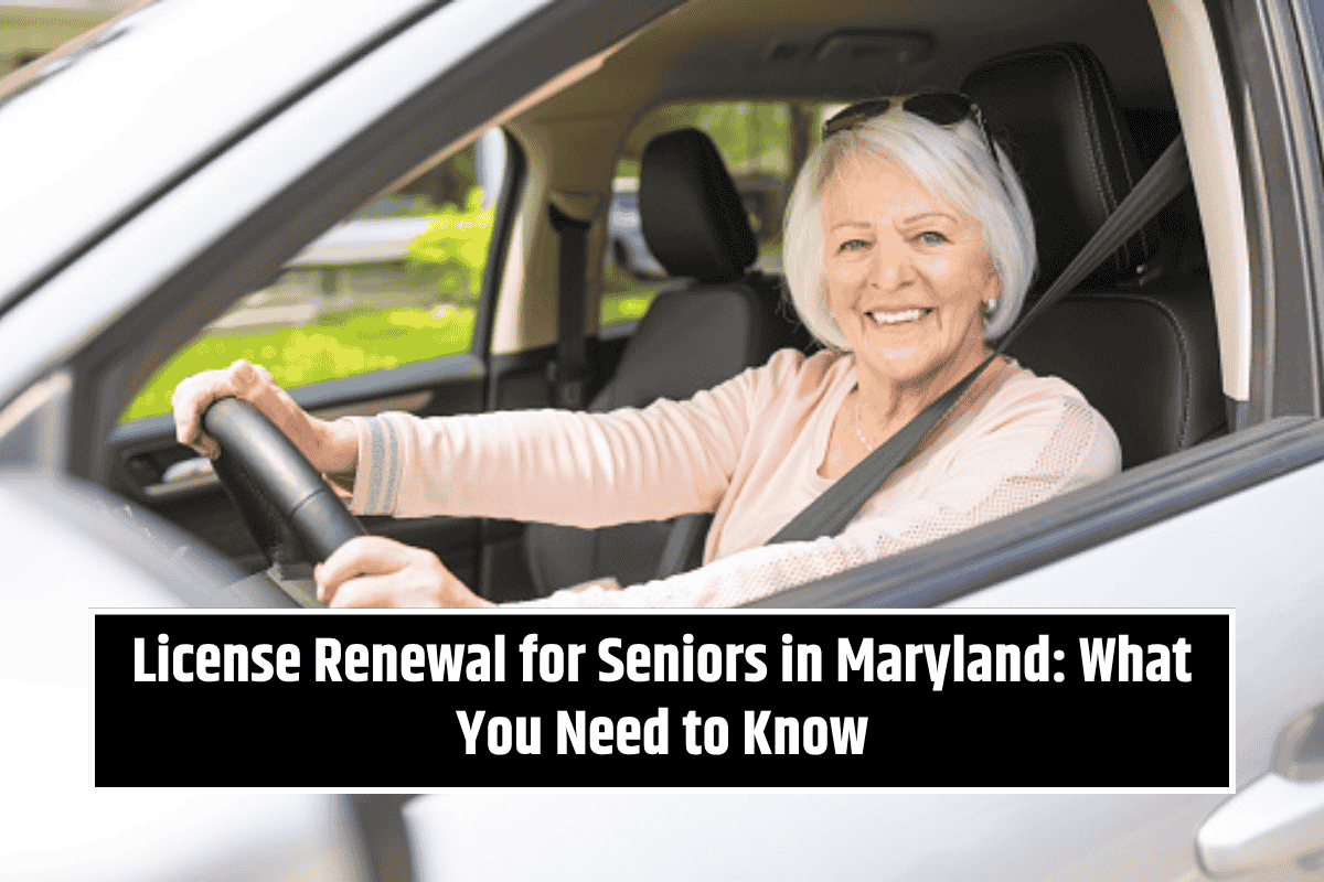 License Renewal for Seniors in Maryland: What You Need to Know