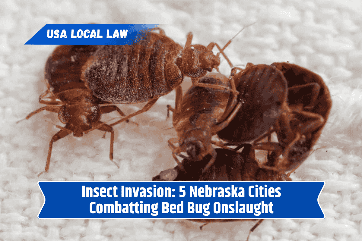 Insect Invasion: 5 Nebraska Cities Combatting Bed Bug Onslaught