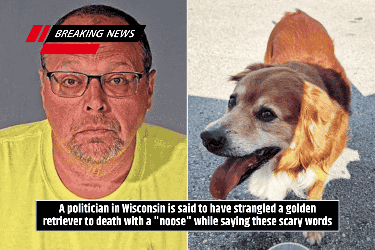 A politician in Wisconsin is said to have strangled a golden retriever to death with a "noose" while saying these scary words