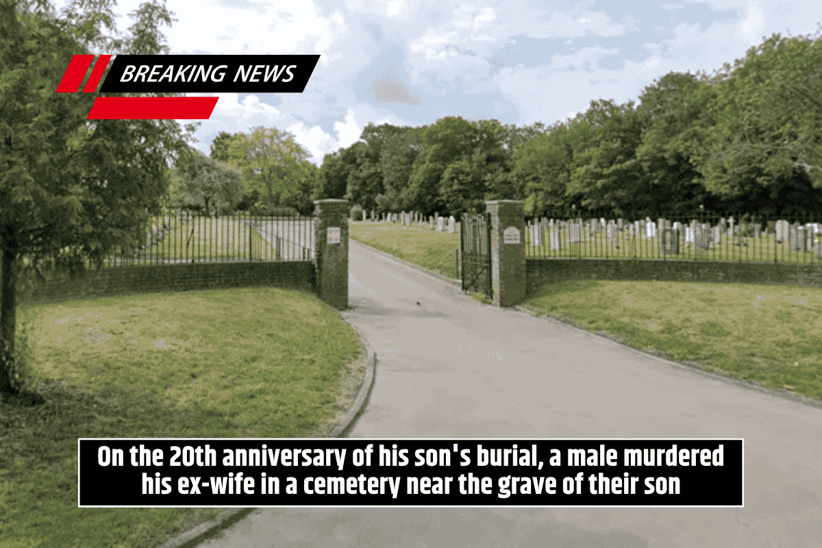 On the 20th anniversary of his son's burial, a male murdered his ex-wife in a cemetery near the grave of their son