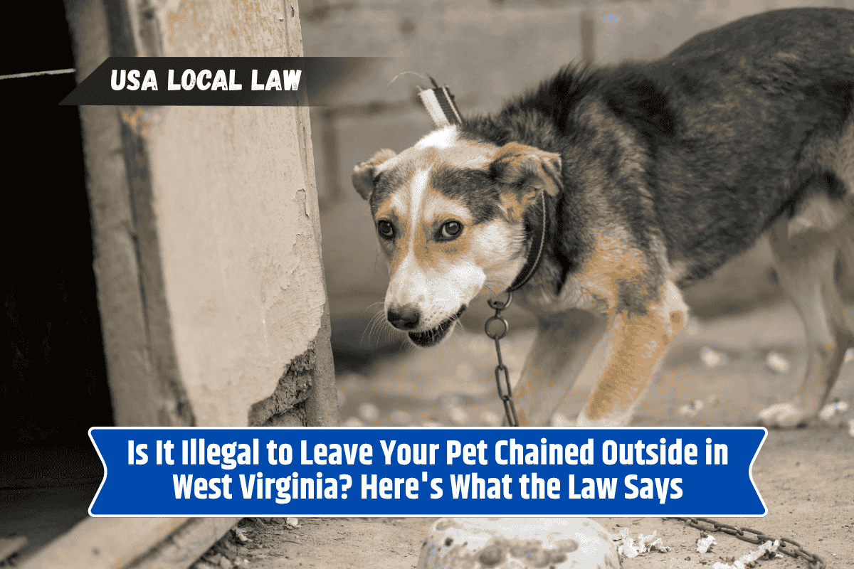 Is It Illegal to Leave Your Pet Chained Outside in West Virginia? Here's What the Law Says
