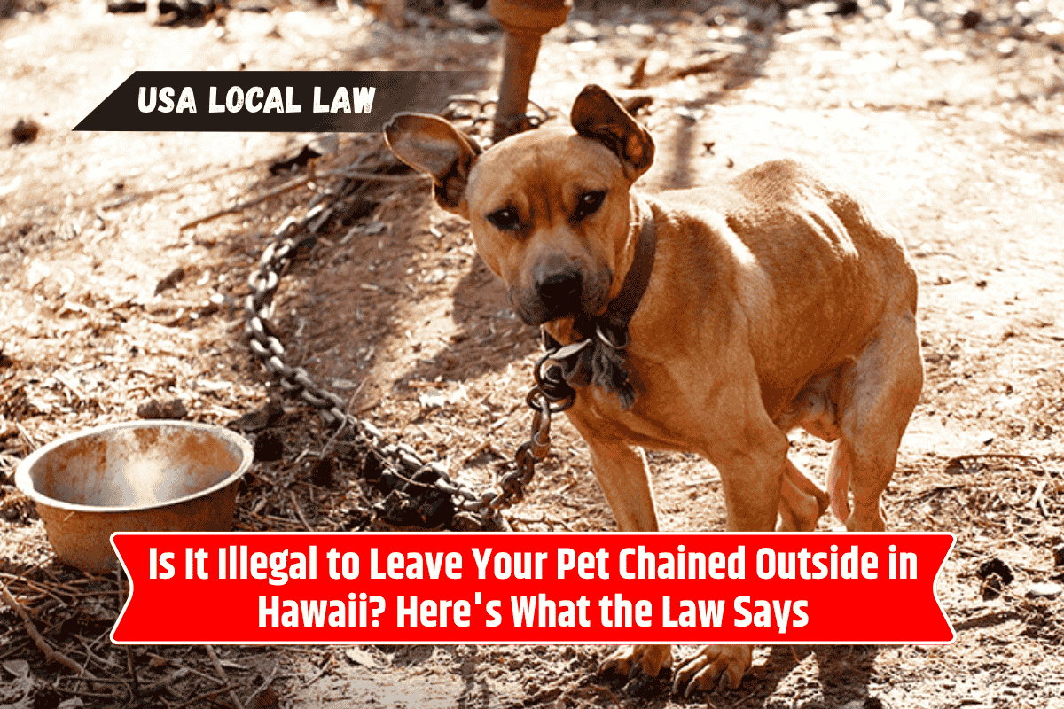 Is It Illegal to Leave Your Pet Chained Outside in Hawaii? Here's What the Law Says