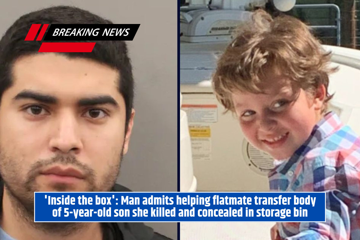 'Inside the box': Man admits helping flatmate transfer body of 5-year-old son she killed and concealed in storage bin