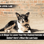 Is It Illegal to Leave Your Pet Chained Outside in Idaho? Here's What the Law Says