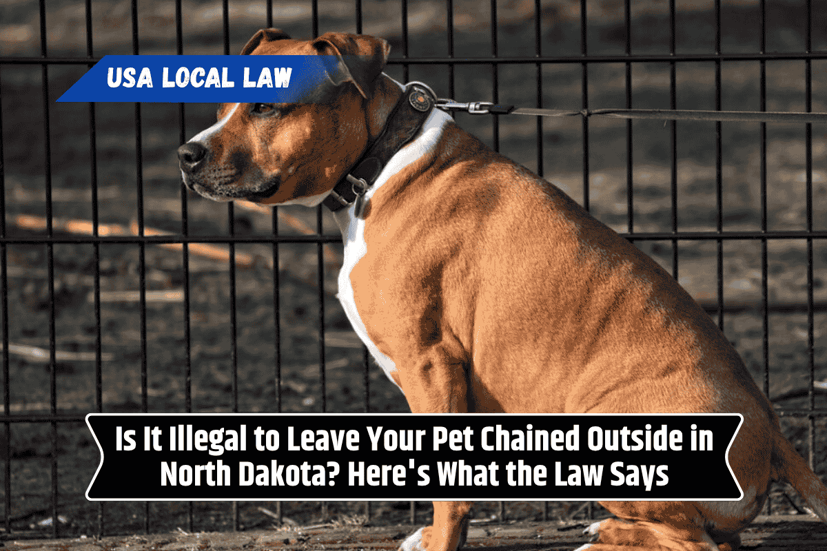 Is It Illegal to Leave Your Pet Chained Outside in North Dakota? Here's What the Law Says