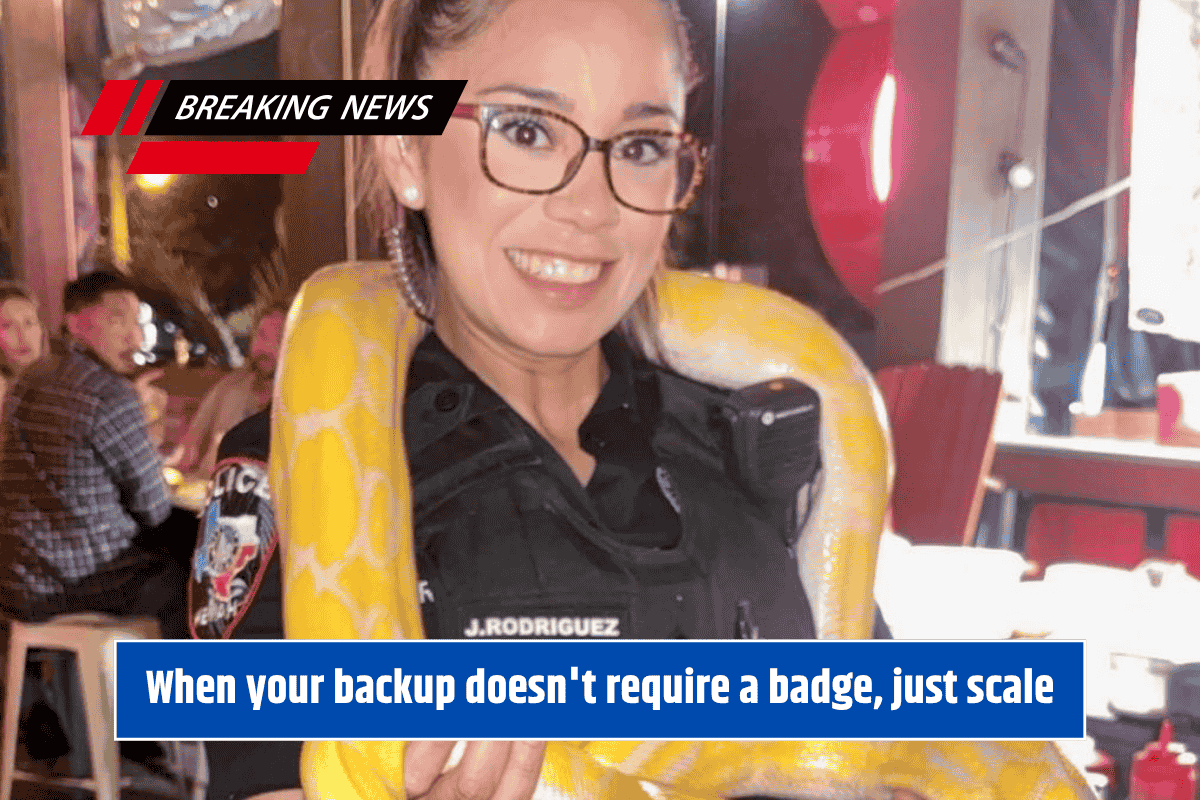 When your backup doesn't require a badge, just scale