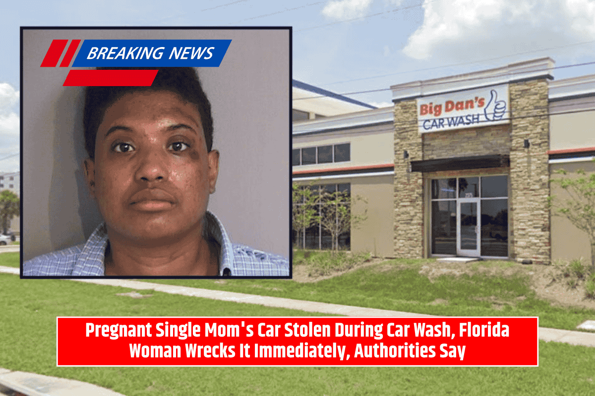 Pregnant Single Mom's Car Stolen During Car Wash, Florida Woman Wrecks It Immediately, Authorities Say