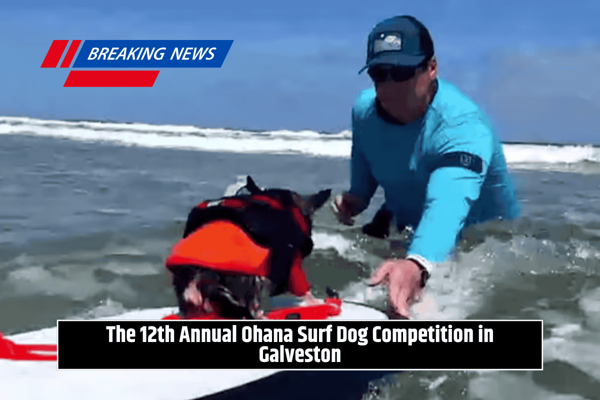 The 12th Annual Ohana Surf Dog Competition in Galveston
