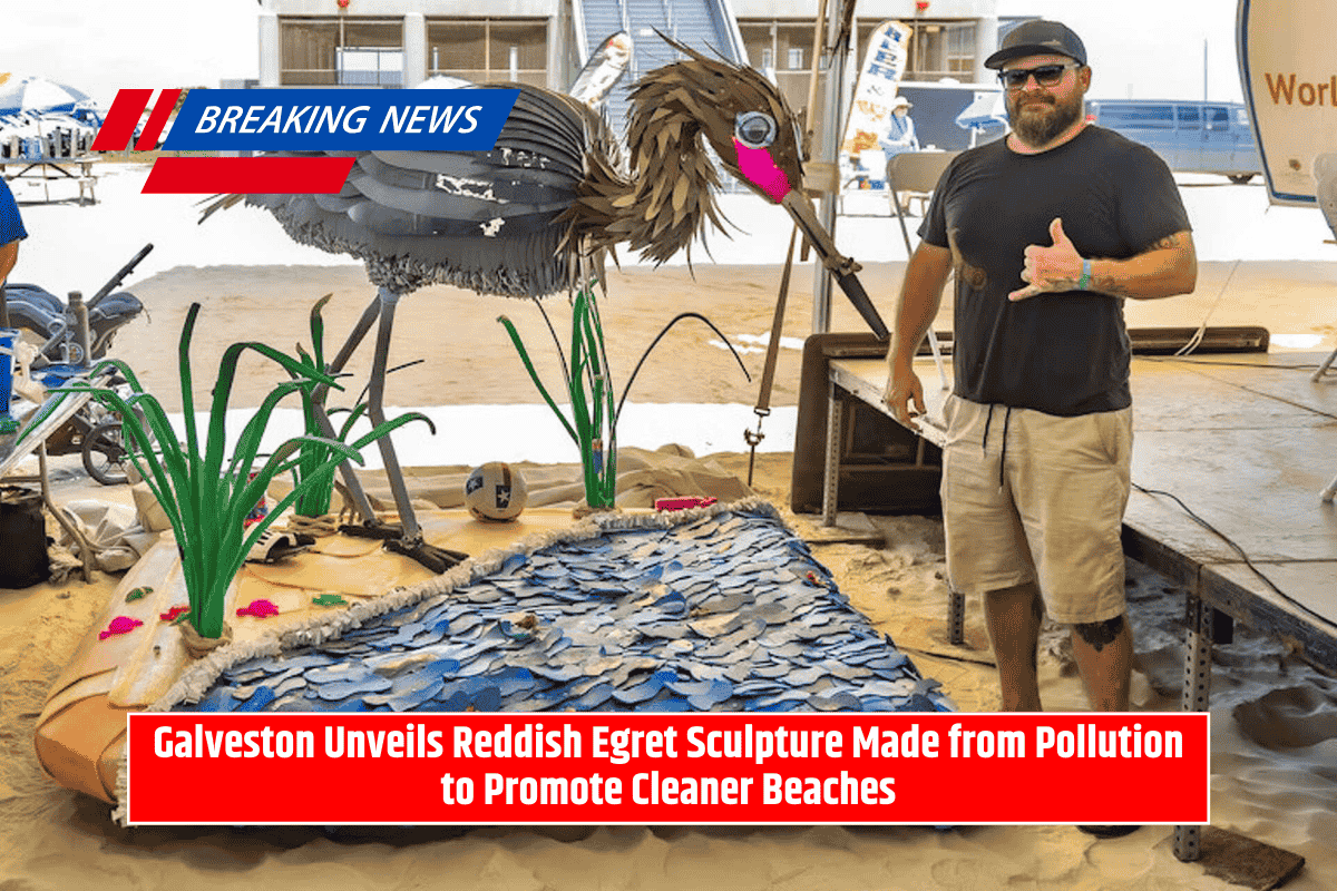 Galveston Unveils Reddish Egret Sculpture Made from Pollution to Promote Cleaner Beaches
