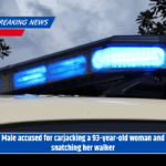 Male accused for carjacking a 93-year-old woman and snatching her walker