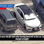 9-year-old girl died after having been left in hot car; no charges brought