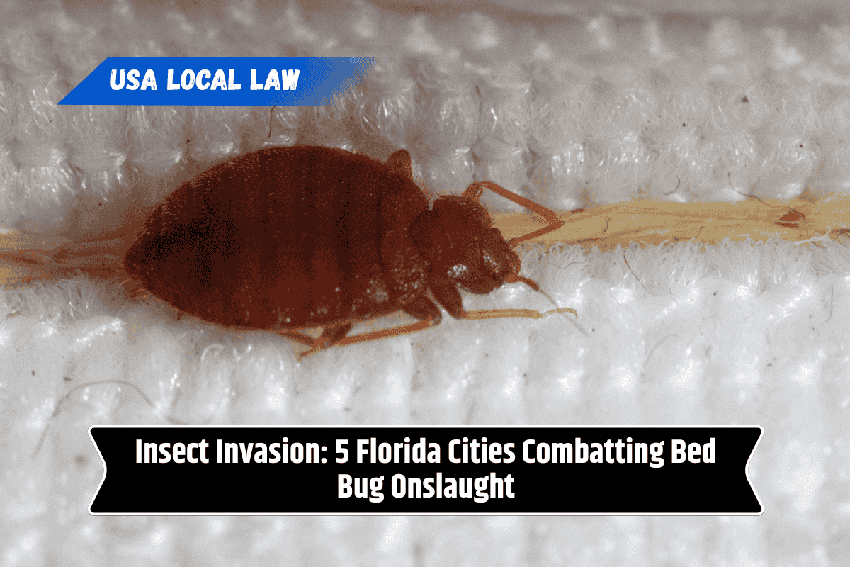 Insect Invasion: 5 Florida Cities Combatting Bed Bug Onslaught