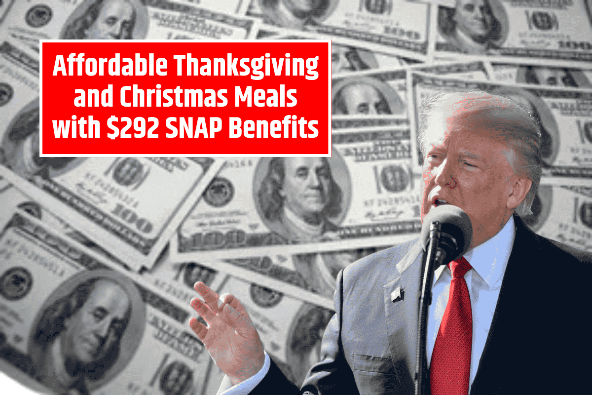 Affordable Thanksgiving and Christmas Meals with $292 SNAP Benefits