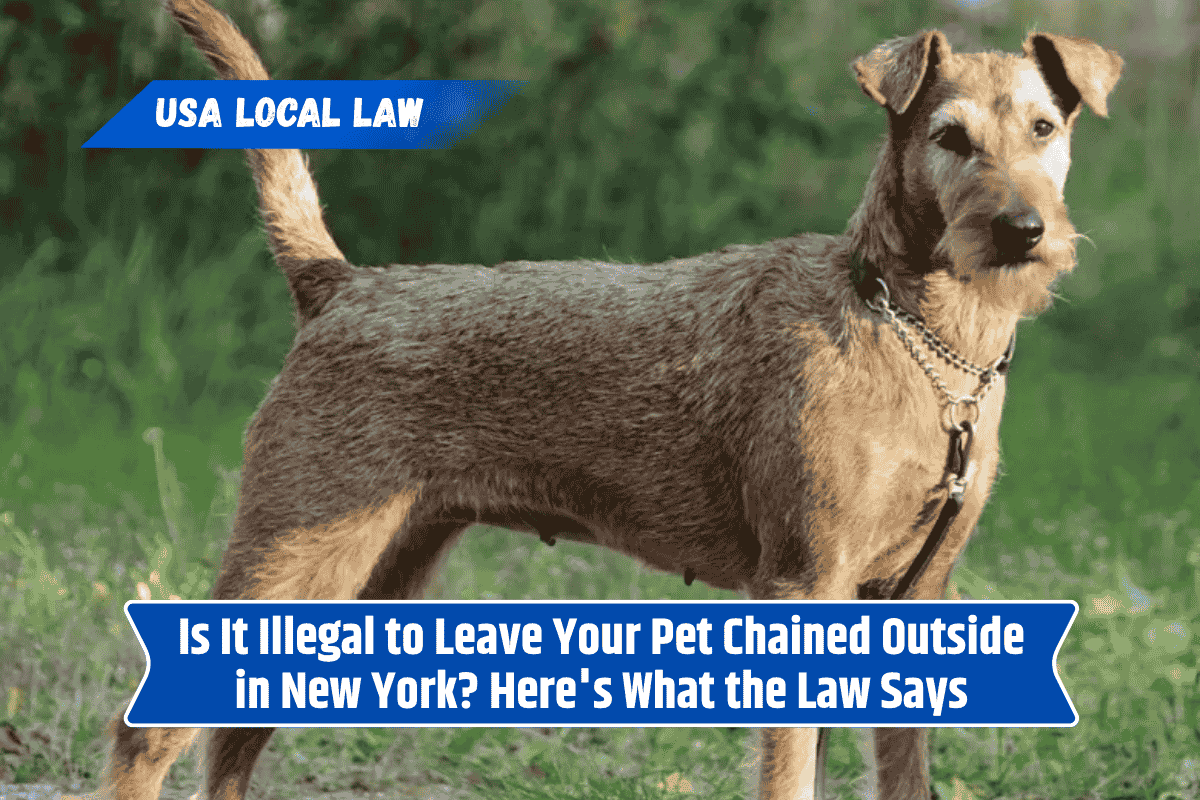 Is It Illegal to Leave Your Pet Chained Outside in New York? Here's What the Law Says