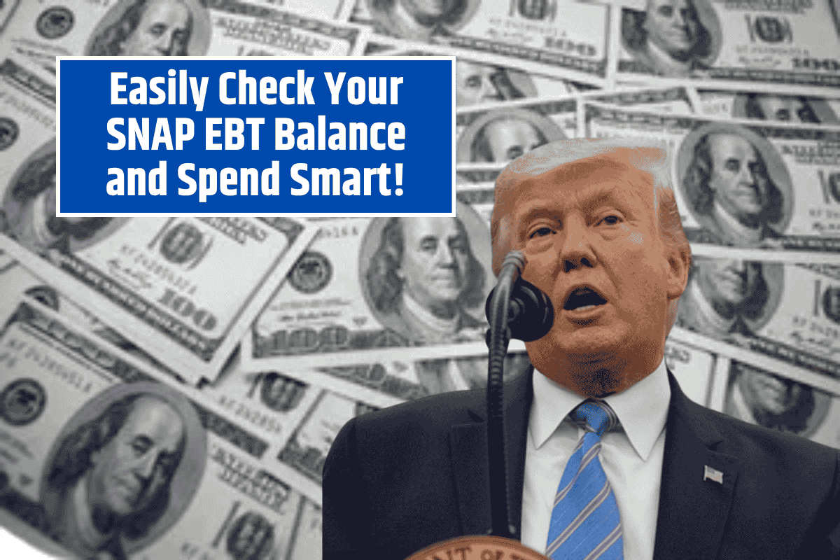 Easily Check Your SNAP EBT Balance and Spend Smart!