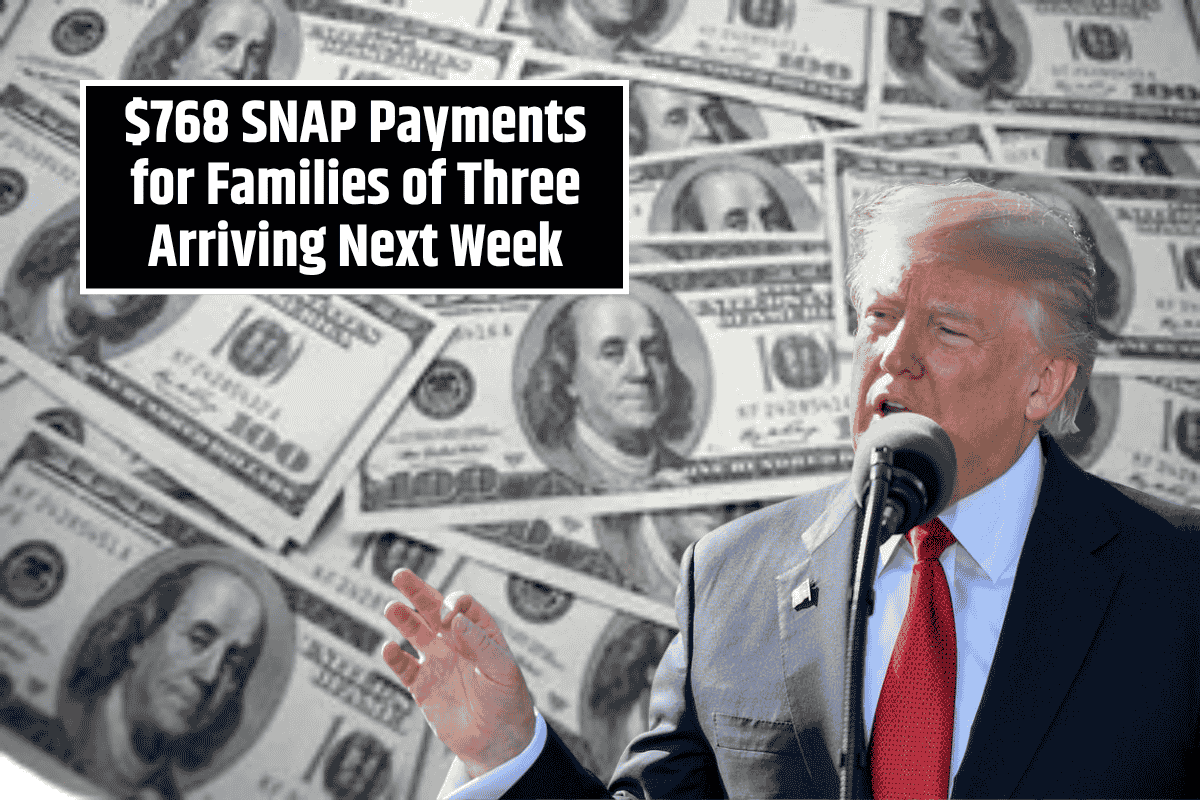 $768 SNAP Payments for Families of Three Arriving Next Week: Your Guide to Eligibility, Application, and Tips
