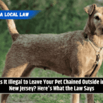 Is It Illegal to Leave Your Pet Chained Outside in New Jersey? Here's What the Law Says