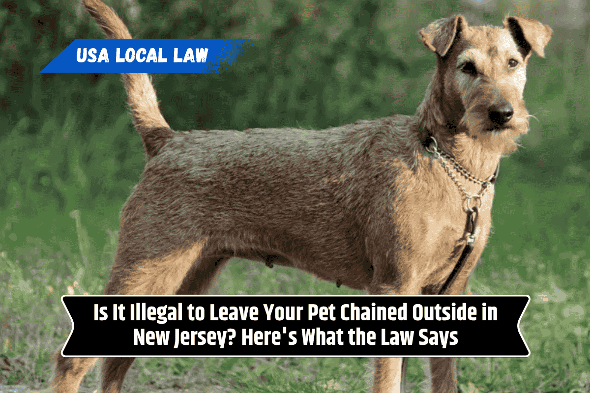 Is It Illegal to Leave Your Pet Chained Outside in New Jersey? Here's What the Law Says