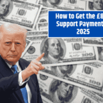 How to Get the £800 Support Payment in 2025 – All You Need to Know