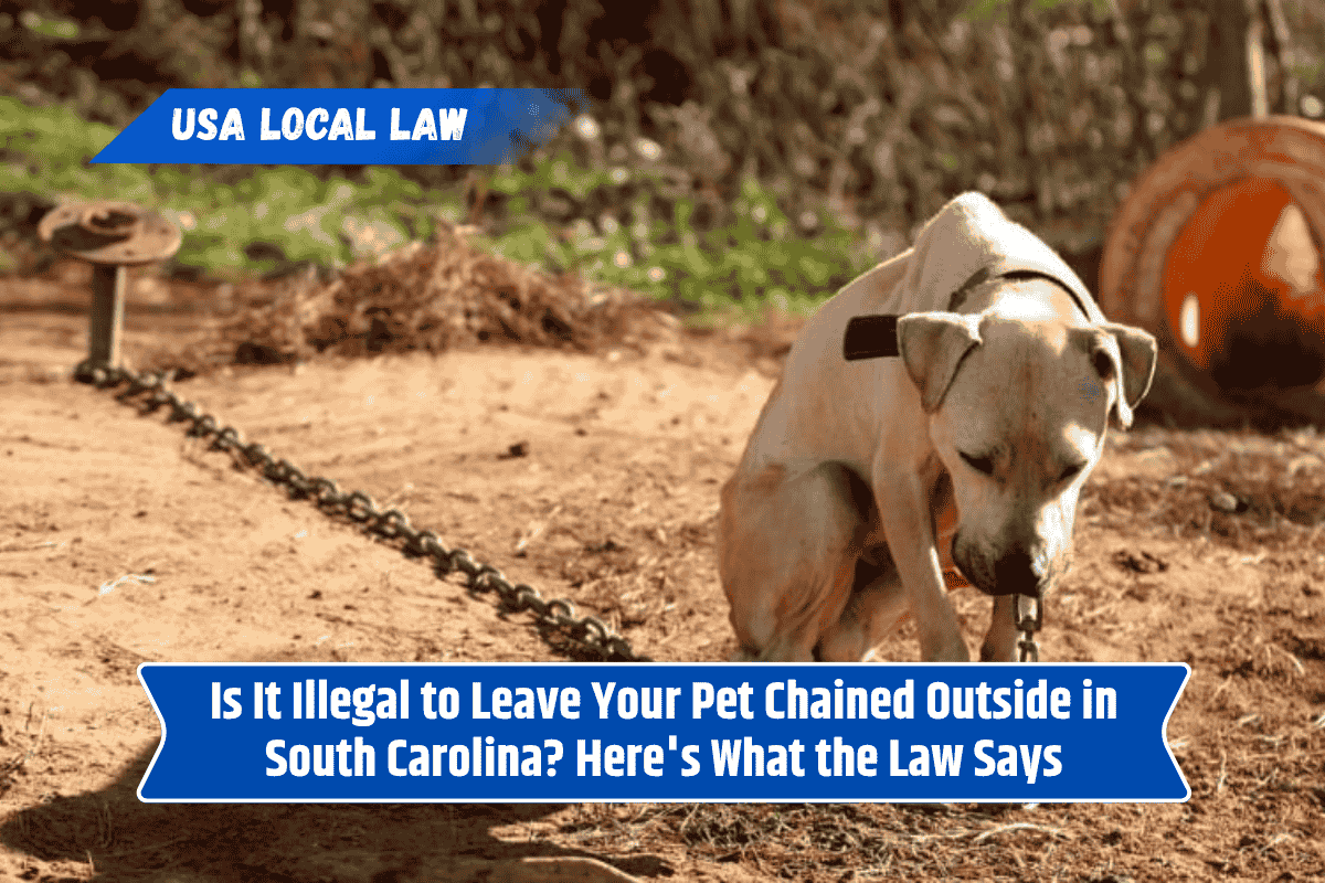 Is It Illegal to Leave Your Pet Chained Outside in South Carolina? Here's What the Law Says