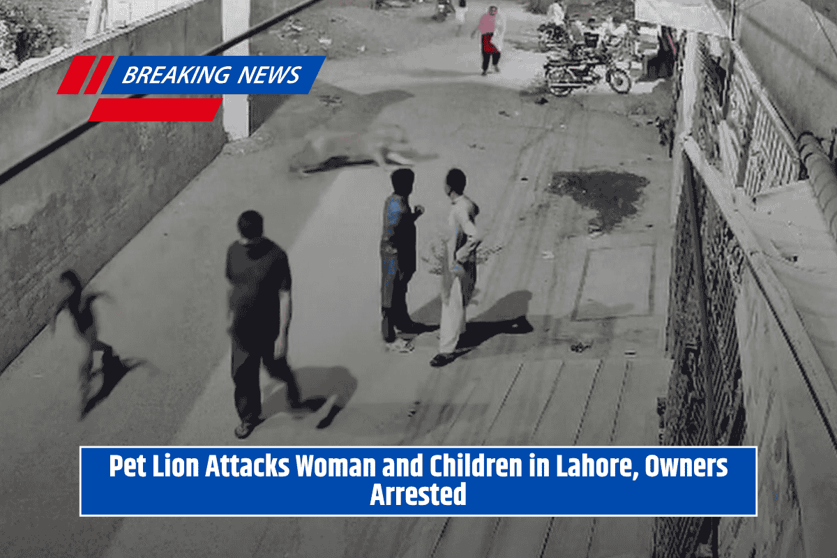 Pet Lion Attacks Woman and Children in Lahore, Owners Arrested
