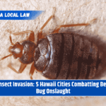 Insect Invasion: 5 Hawaii Cities Combatting Bed Bug Onslaught