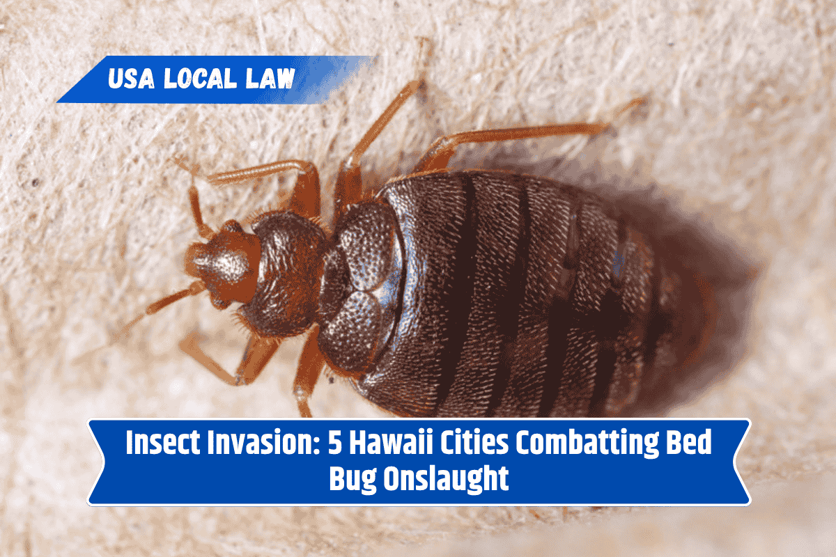 Insect Invasion: 5 Hawaii Cities Combatting Bed Bug Onslaught