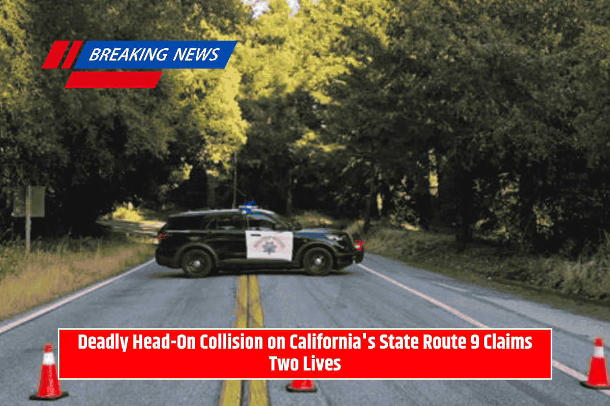 Deadly Head-On Collision on California's State Route 9 Claims Two Lives