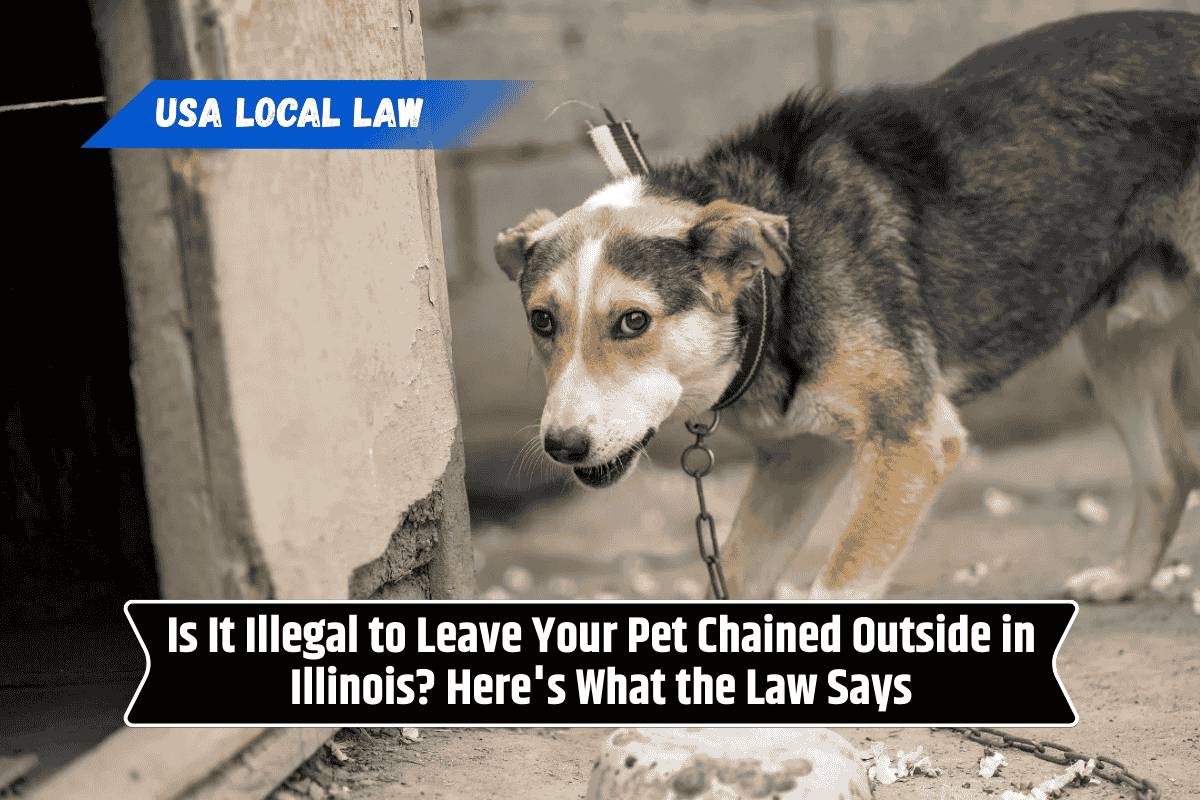 Is It Illegal to Leave Your Pet Chained Outside in Illinois? Here's What the Law Says