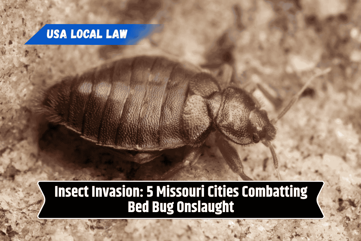 Insect Invasion: 5 Missouri Cities Combatting Bed Bug Onslaught