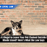 Is It Illegal to Leave Your Pet Chained Outside in Rhode Island? Here's What the Law Says