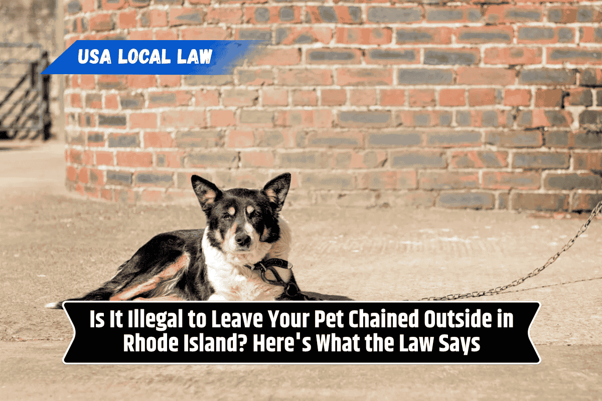Is It Illegal to Leave Your Pet Chained Outside in Rhode Island? Here's What the Law Says