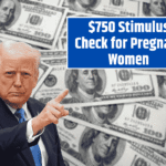 $750 Stimulus Check for Pregnant Women: Understanding the Support for Maternal Health