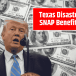 Texas Disaster SNAP Benefits: Emergency Food Assistance After Devastating Storms