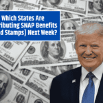 Which States Are Distributing SNAP Benefits (Food Stamps) Next Week?