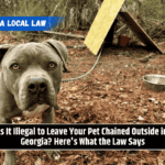 Is It Illegal to Leave Your Pet Chained Outside in Georgia? Here's What the Law Says