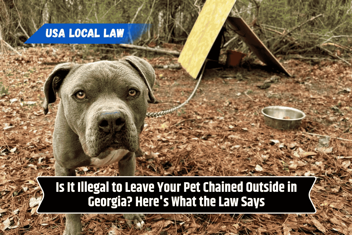 Is It Illegal to Leave Your Pet Chained Outside in Georgia? Here's What the Law Says