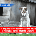 Is It Illegal to Leave Your Pet Chained Outside in Montana? Here's What the Law Says