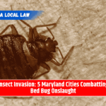 Insect Invasion: 5 Maryland Cities Combatting Bed Bug Onslaught