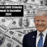 Surprise $800 Stimulus Payment in December 2024: What You Need to Know