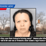 'Can they save them instead of driving away?': Woman who killed 3-year-old in hit-and-run at fireworks show lacked a legal licence: Cops