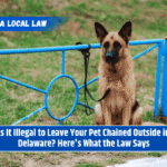 Is It Illegal to Leave Your Pet Chained Outside in Delaware? Here's What the Law Says