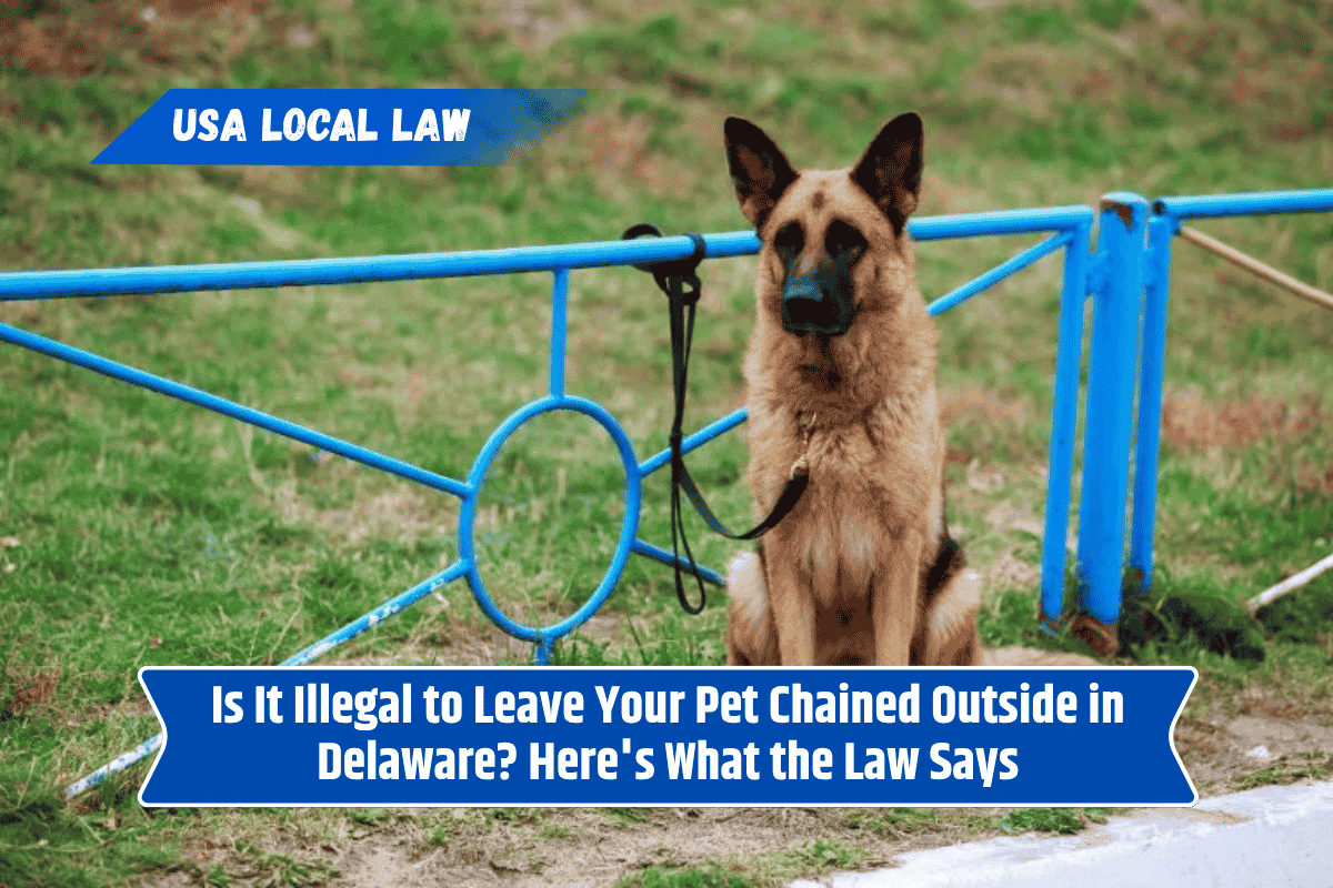 Is It Illegal to Leave Your Pet Chained Outside in Delaware? Here's What the Law Says