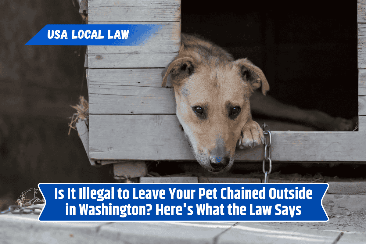 Is It Illegal to Leave Your Pet Chained Outside in Washington? Here's What the Law Says