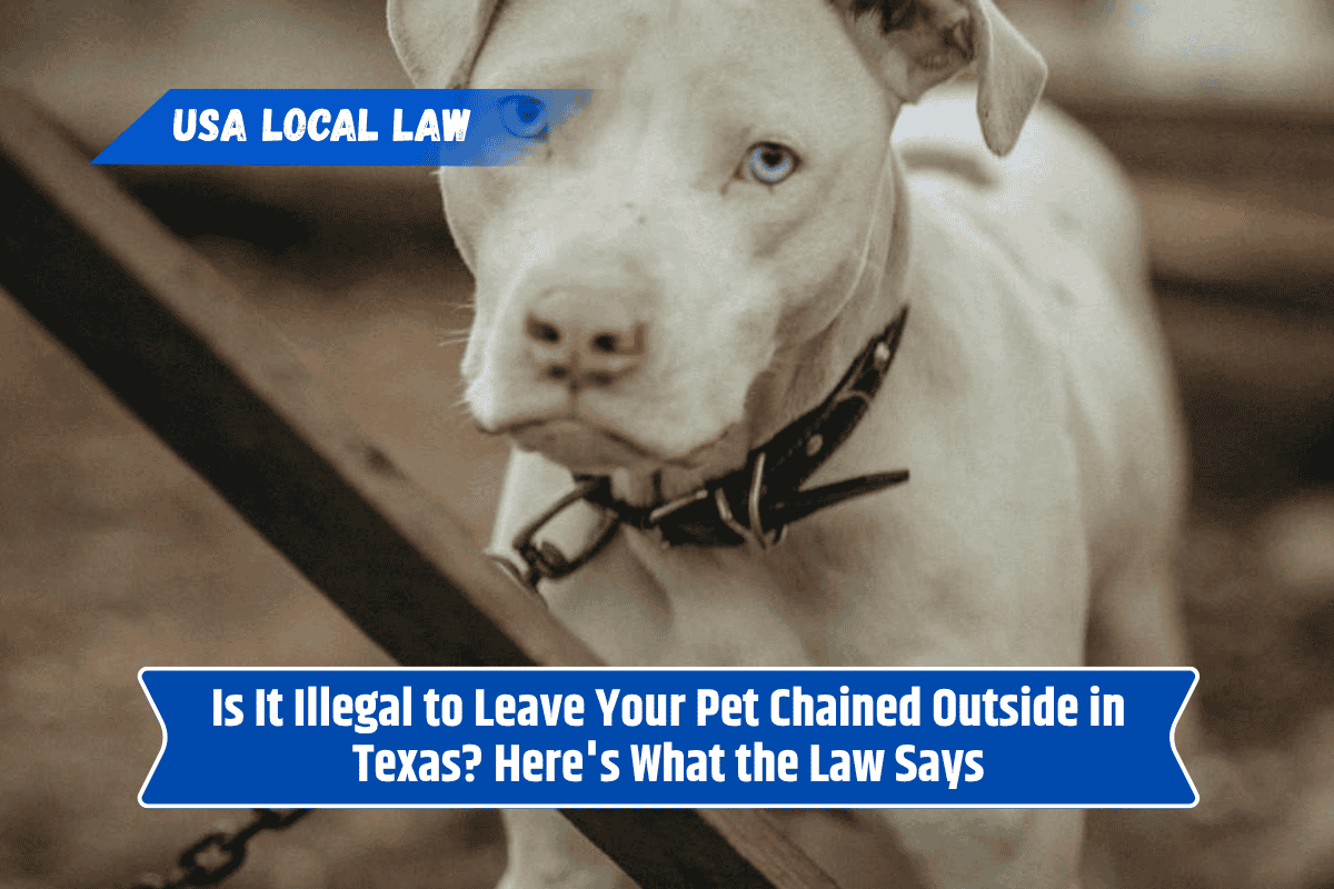 Is It Illegal to Leave Your Pet Chained Outside in Texas? Here's What the Law Says